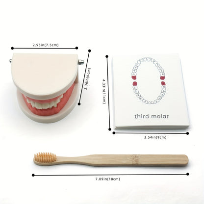 Wooden toothbrush and tooth model for teaching kids proper brushing techniques and dental health habits.