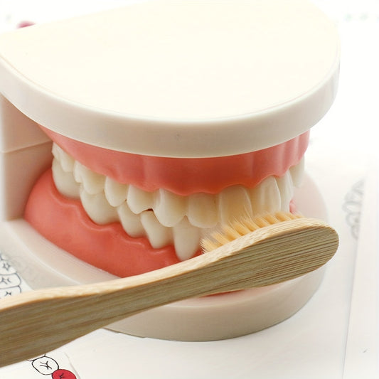 Children’s toothbrushing practice model with wooden toothbrush and dental hygiene educational cards for early oral care learning