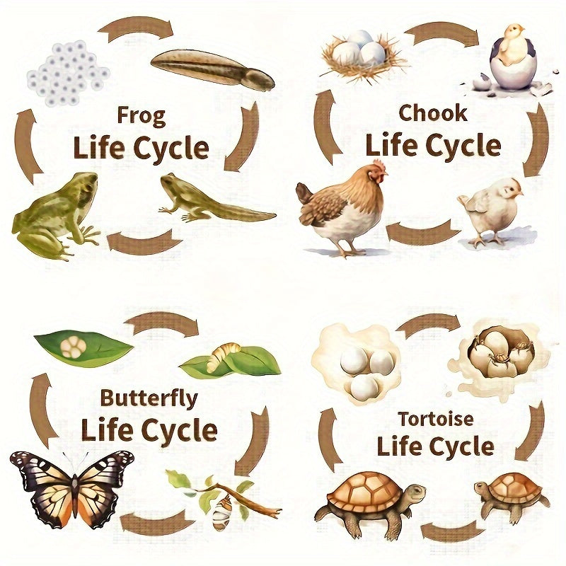 Animals life cycle science board toy for toddlers and preschooler
