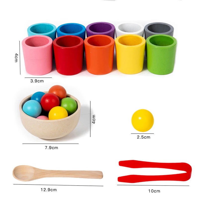 Close-up of Montessori balls in cups set, showcasing colorful balls and wooden cups for early learning activities.