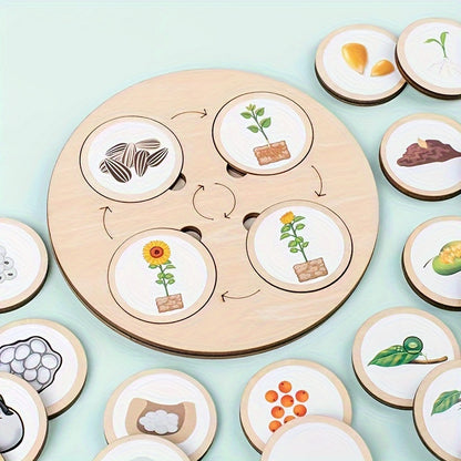 Educational life cycle board toy with colorful stickers and storage bag