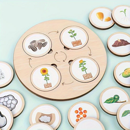 Educational life cycle board toy with colorful stickers and storage bag
