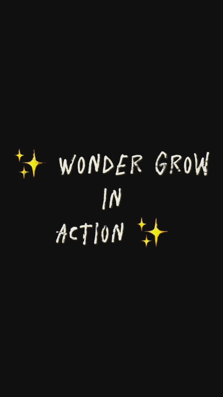 Load video: Footage of children playing with Wonder Grow educational toys, with parent testimonials highlighting the benefits of early learning through play.